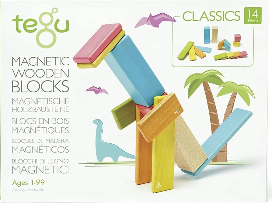 Tegu Magnetic Wooden Blocks