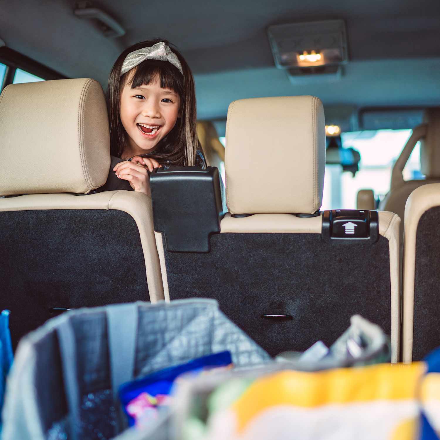 Drive Auto Trunk Organizer